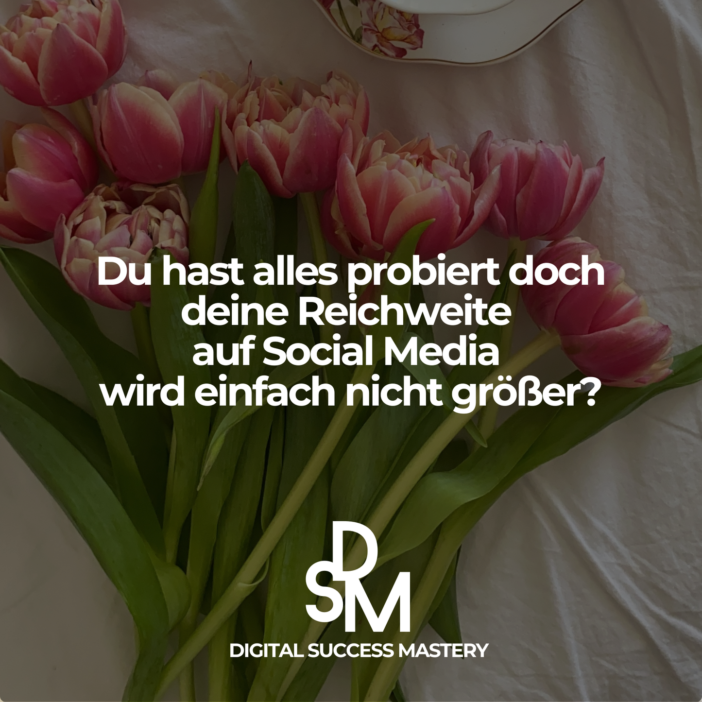 Digital Success Mastery - Lerne digitale Produkte zu erstellen & verkaufen