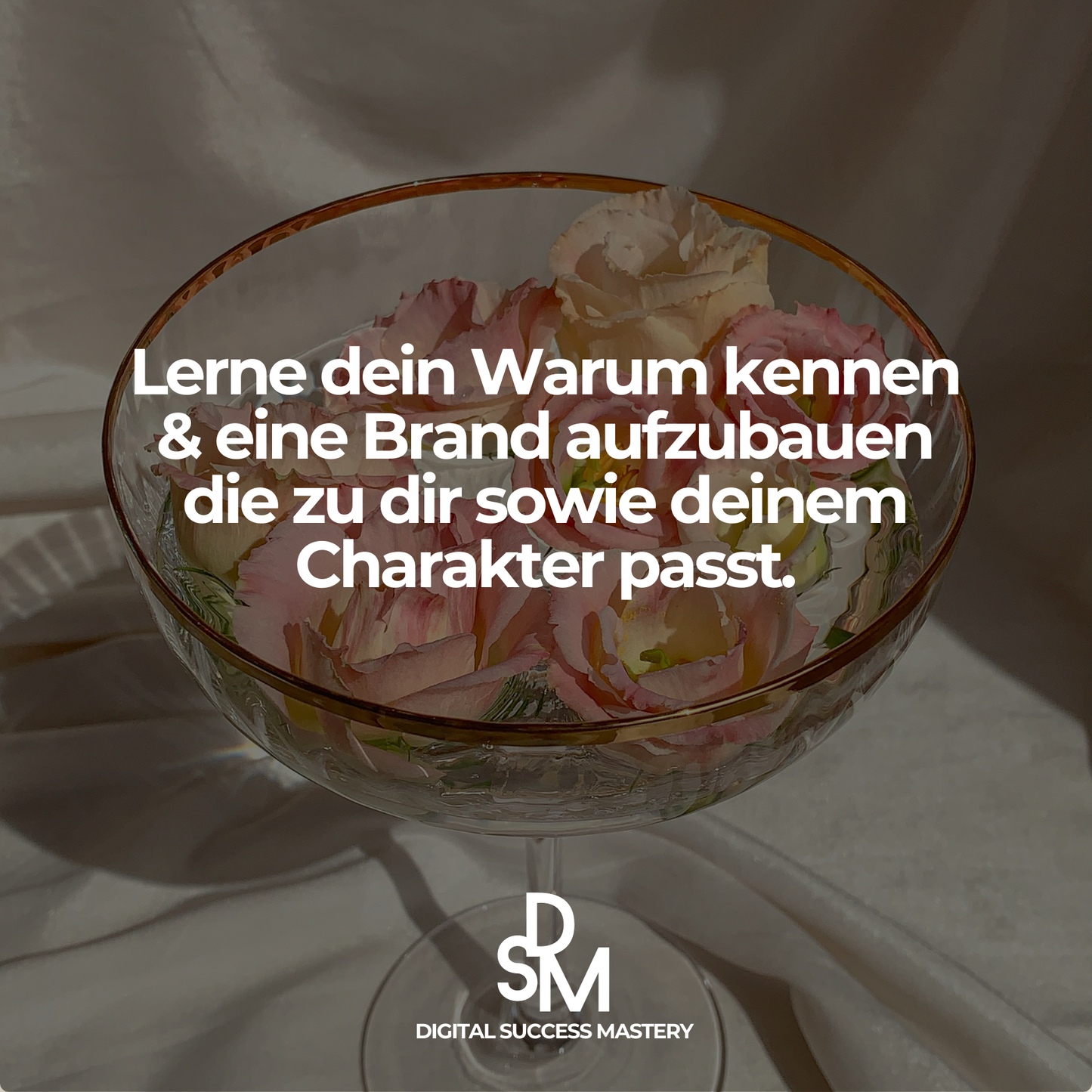 Digital Success Mastery - Lerne digitale Produkte zu erstellen & verkaufen