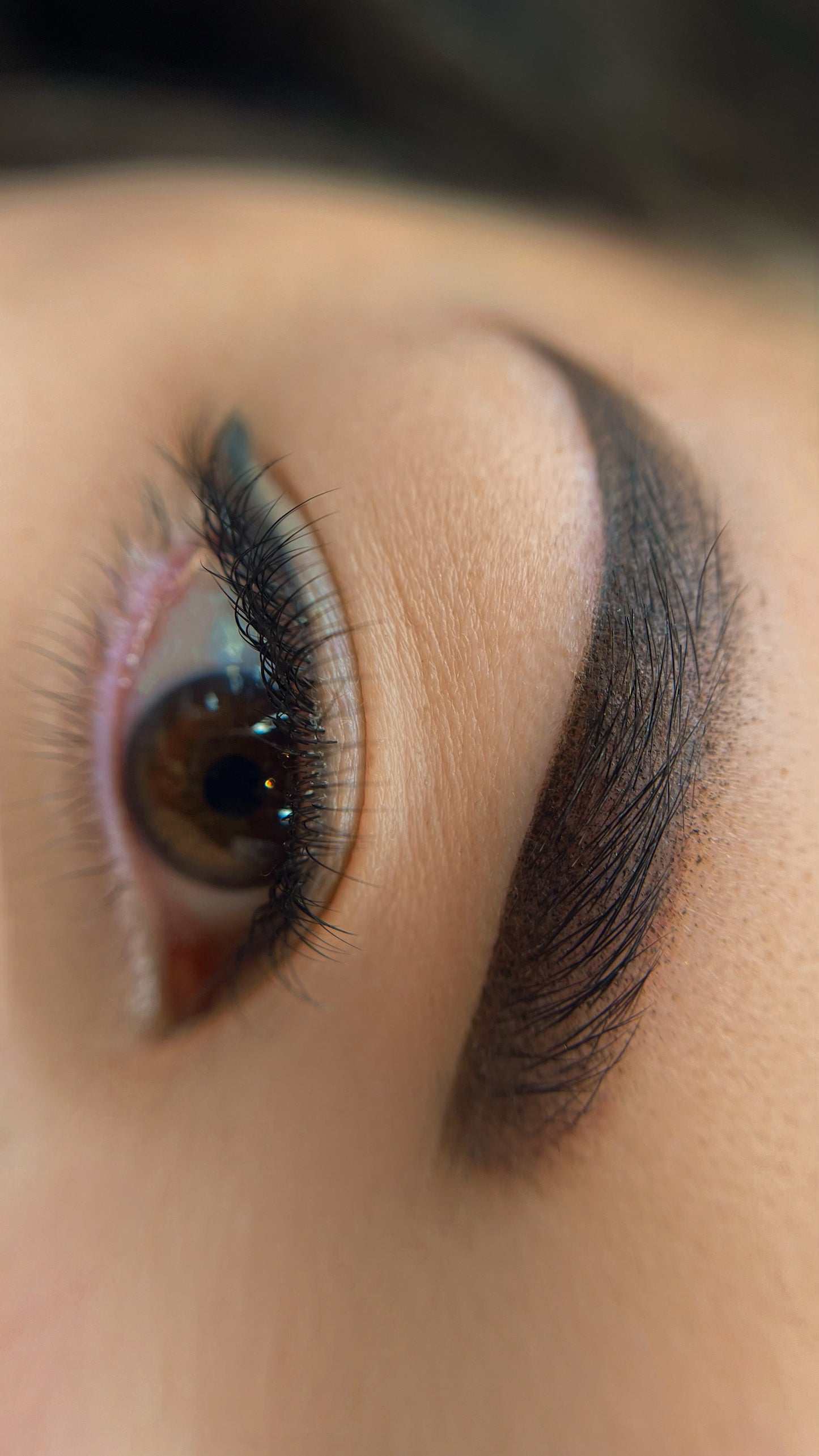Powderbrows