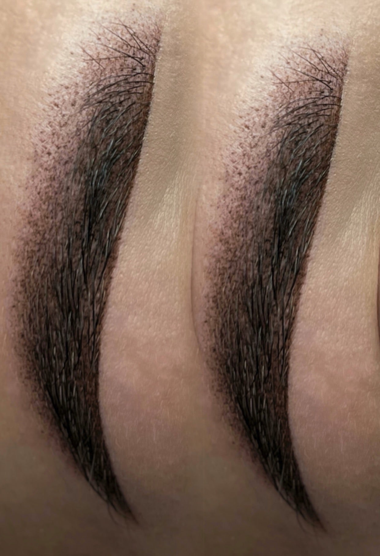 Powderbrows