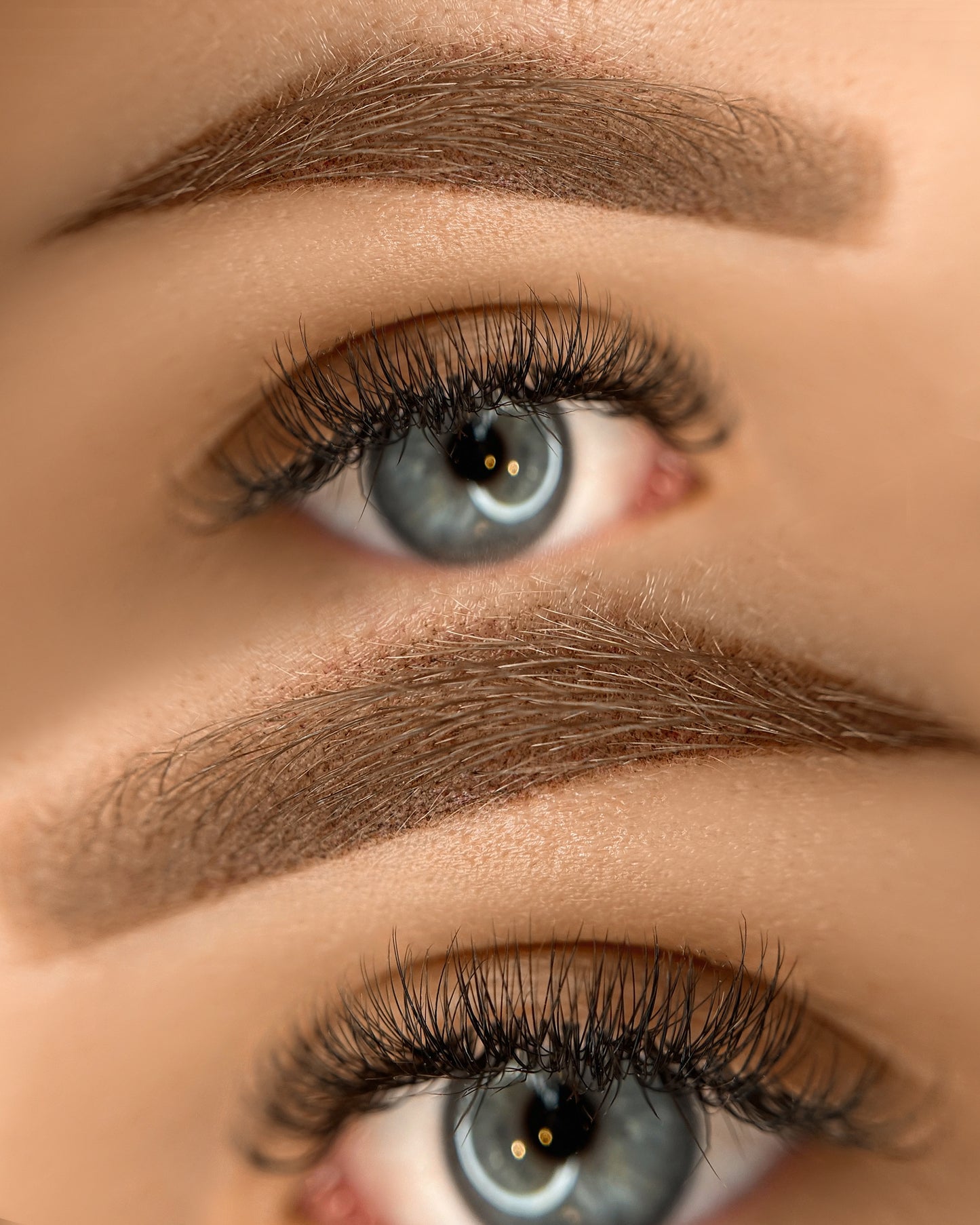 Powderbrows