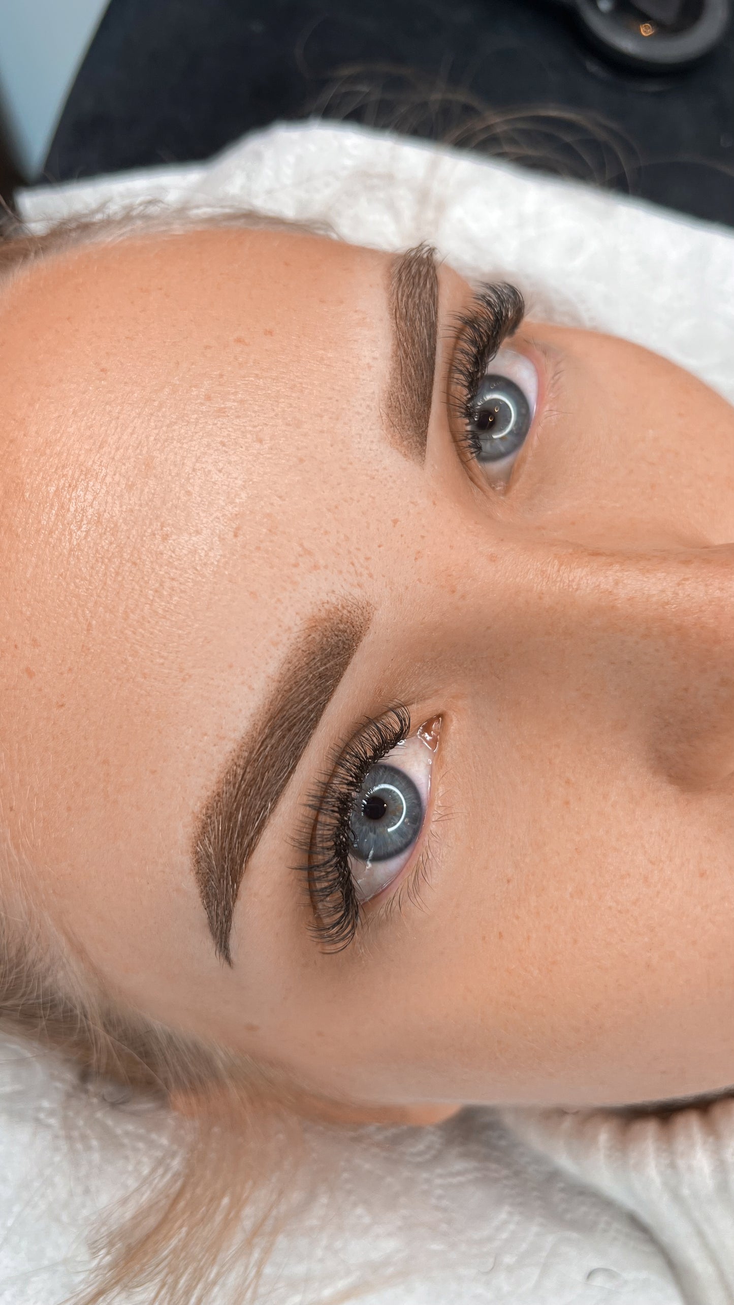 Powderbrows